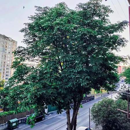Apartman Apartman Di Matea